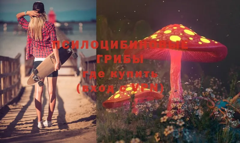 Псилоцибиновые грибы Magic Shrooms  OMG онион  Ачинск 